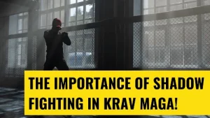 The Importance Of Shadow Fighting In Krav Maga Image